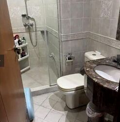 Signature Park (D21), Condominium #495644201